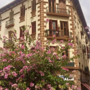 Apartamento Alicante City Beach Flower Market