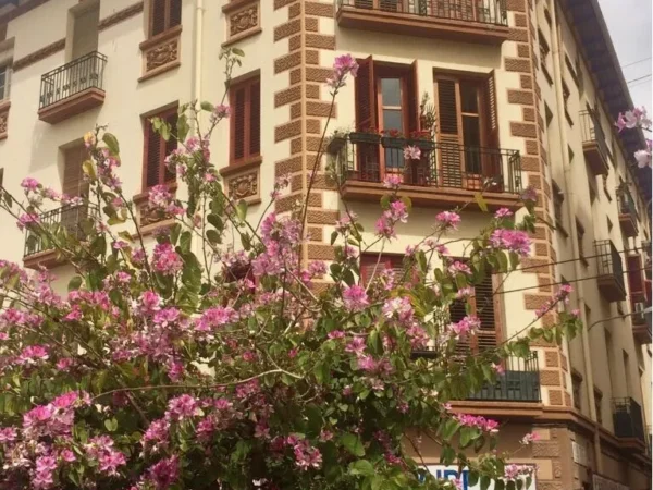 Apartamento Alicante City Beach Flower Market