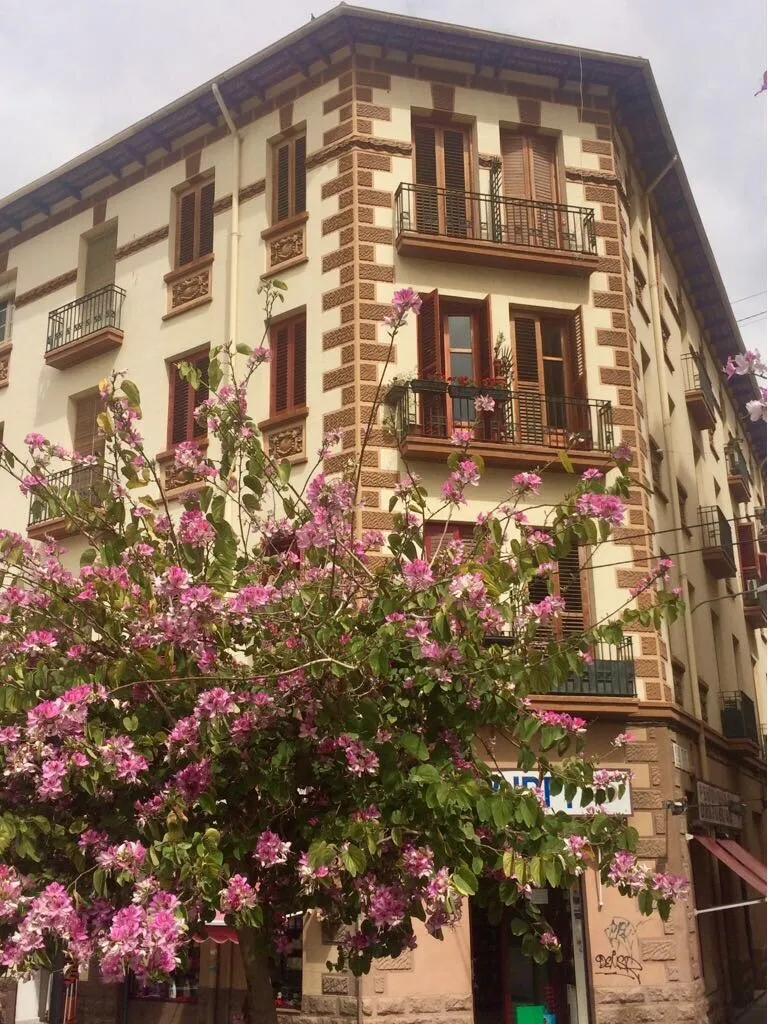 Apartamento Alicante City Beach Flower Market