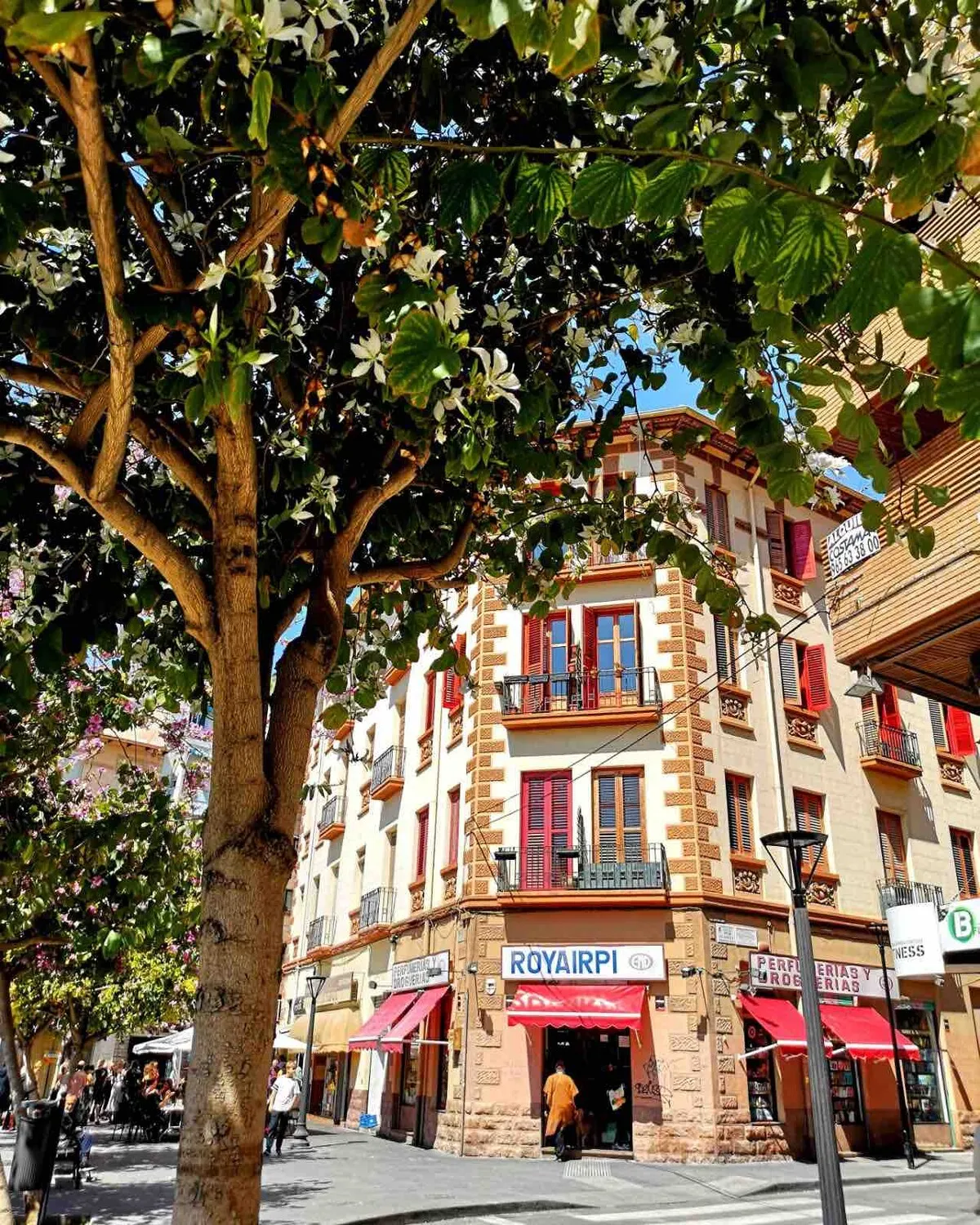 Apartamento Alicante City Beach Flower Market