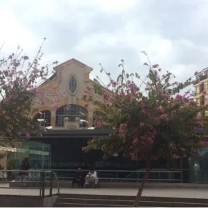 Apartamento Alicante City Beach Flower Market