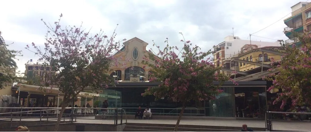 Apartamento Alicante City Beach Flower Market