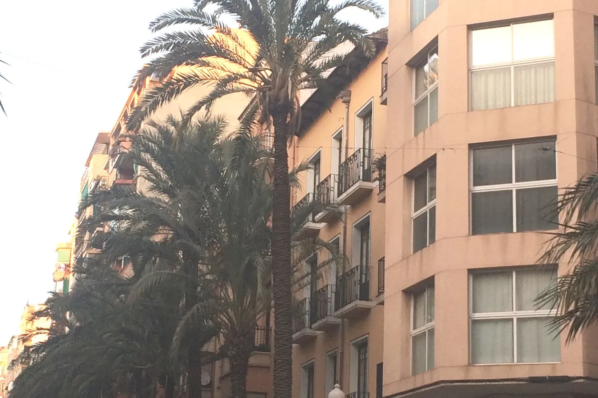 Alicante centro tradicional cerca del mar - Imagen 9